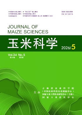 玉米科学封面